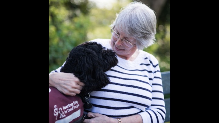 My Beloved Super Hearing Dog - Clay