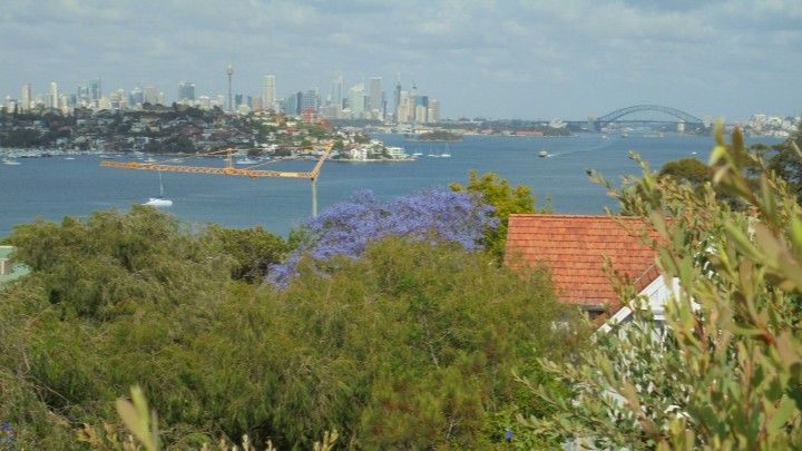 A Diary Of My Travels From The Quokkas Perspective Day 6